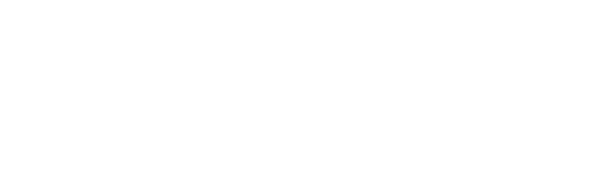 Builders_FirstSource_Logo-white